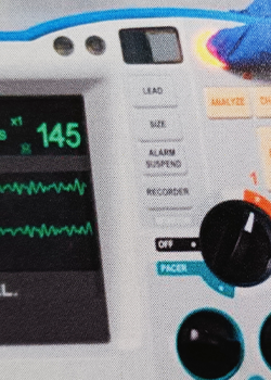 ■Significant Changes