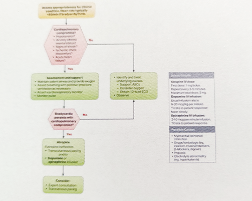 ■Significant Changes