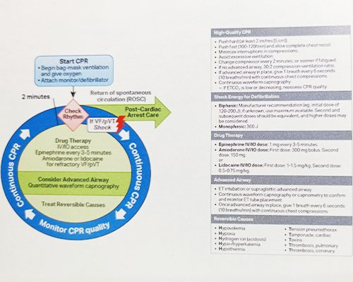 ■Adult Cardiac Arrest Circular