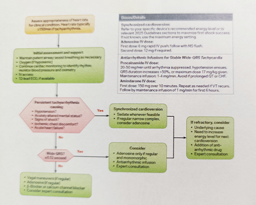 ■Adult Tachyarrhythmia with a Pulse