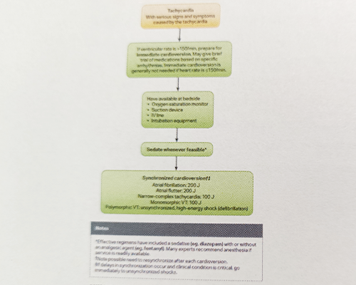 ■Electrical Cardioversion Algorithm
