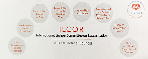 ■Development of the Guidelines