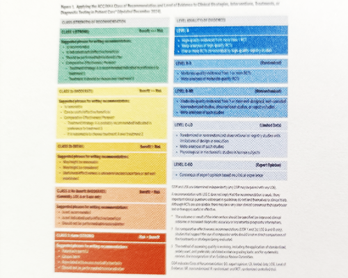 ■Development of the Guidelines