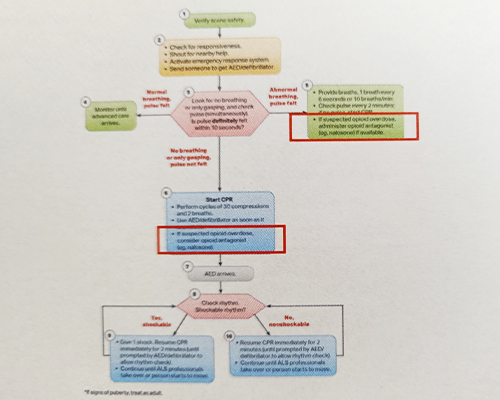 ■Adult BLS Algorithm